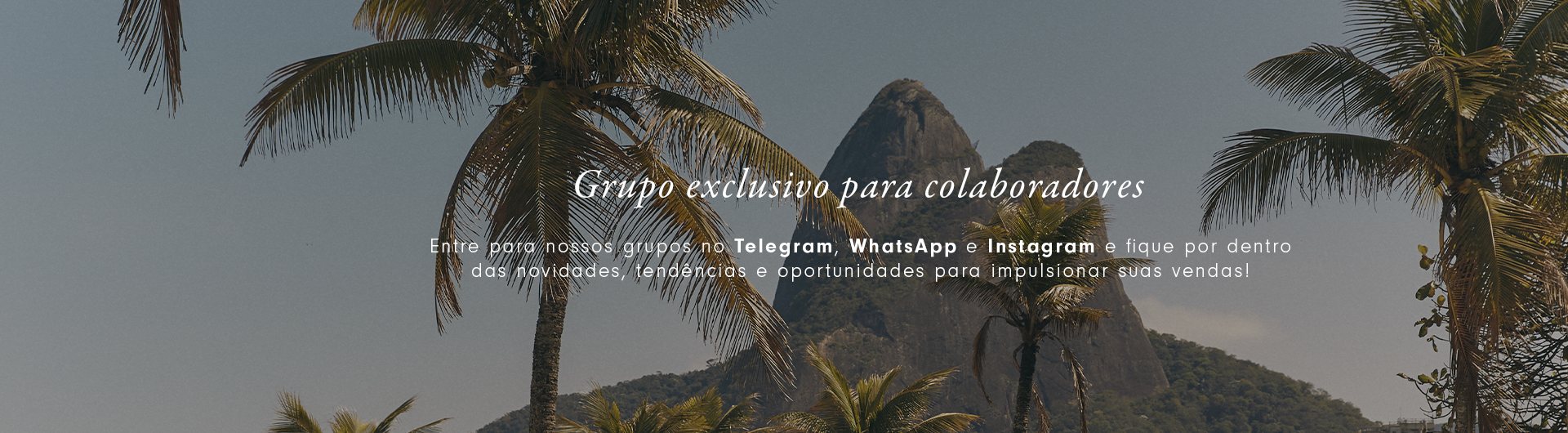 Foto de uma montanha entre os coqueiros localizado no rio de janeiro.